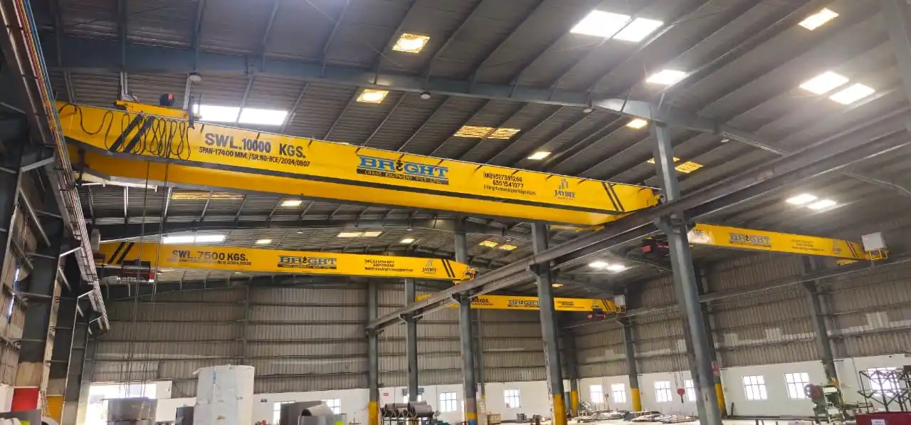 Double girder EOT crane manufacturer and supply in industries